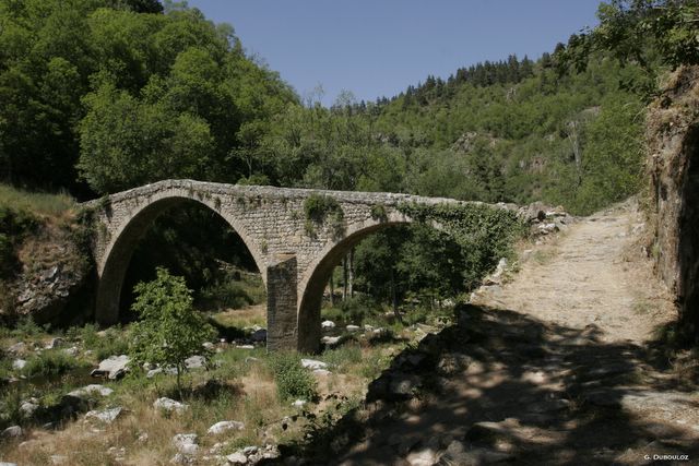 theil5